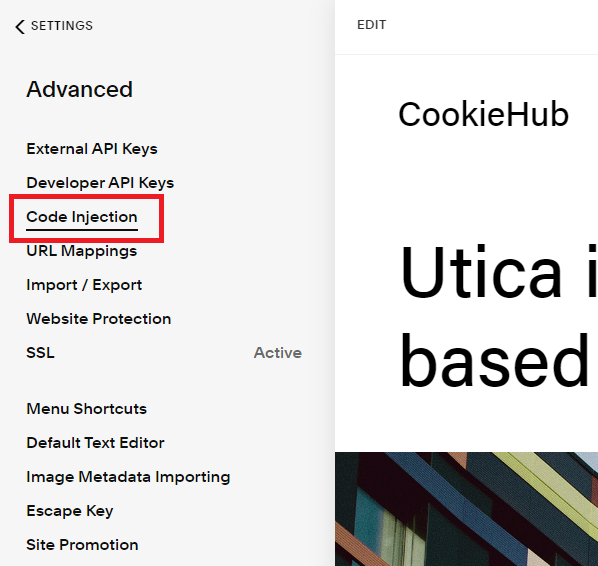 Find code injection in Squarespace
